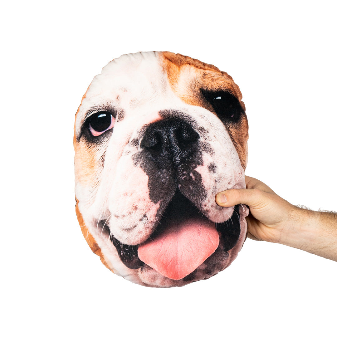 Pet 2024 face pillow